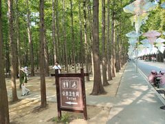 -日照海滨国家森林公园