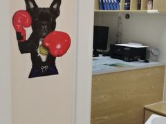 -芭比堂动物医院·24小时·眼科中心(深圳中心)