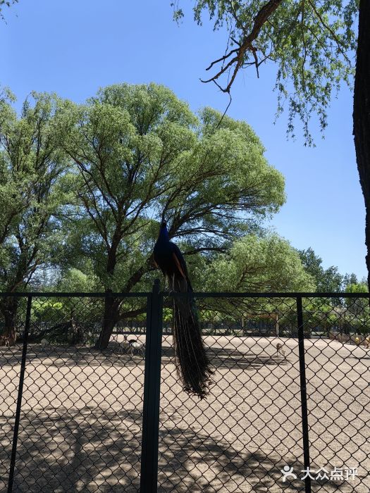 南海子公园图片