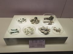 -南越王博物院(王宫展区)