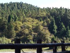 -武陵山森林公园