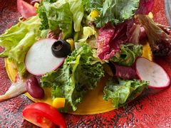蔬菜沙拉-布拉格餐厅· 中欧捷克菜(全国首店)
