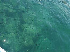 -洛克岛