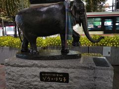 -井之头恩赐公园