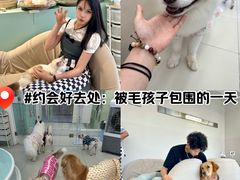 -怪兽屋·羊驼·猫咖·狗咖(俊华广场店)