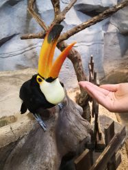 -Zoolung Zoolung动物主题公园(海信广场店)