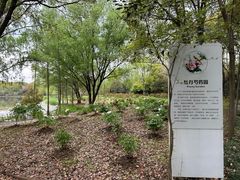 -昆山城市生态森林公园