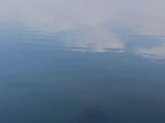 -东湖磨山景区