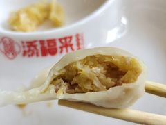 酸菜肉水饺-添福来墨鱼饺子 · 海鲜东北菜(大连星海·黄浦路店)