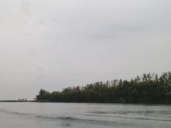 -白洋淀风景区