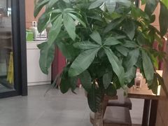 -李先生牛肉面大王(朝阳街店)