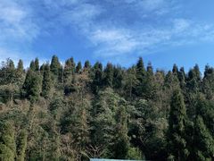 -龙苍沟森林公园