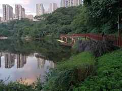 -重庆彩云湖湿地公园