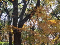 -共青国家森林公园-售票处