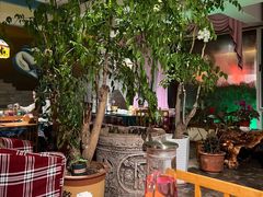 -慢丽江·云南野生菌土鸡锅(付家庄店)