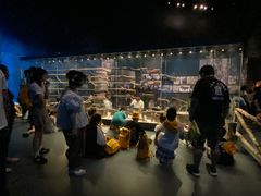 -沈阳“九·一八”历史博物馆