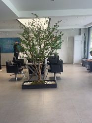-付军剪艺JF ProSalon