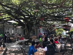 -绿华园休闲山庄