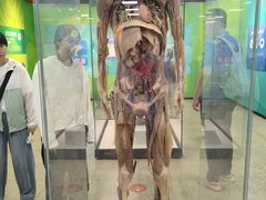 -国家自然博物馆