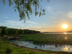 -丁香湖公园