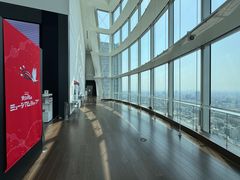 -六本木新城展望台(东京城市景观)