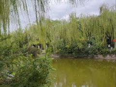 -南翠屏公园