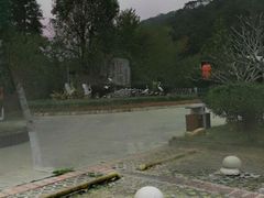 -广州白江湖森林公园