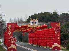 -同里国家湿地公园