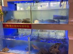 -王捌小院(红花坡店)
