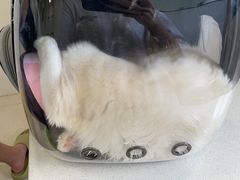 -佳雯宠物医院(四明中路分院)