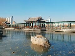 -莲花池公园
