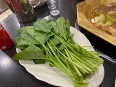 -芦月轩羊蝎子(北蜂窝店)