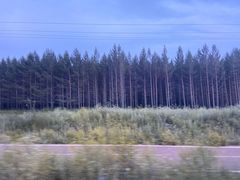 -塞罕坝国家级自然保护区