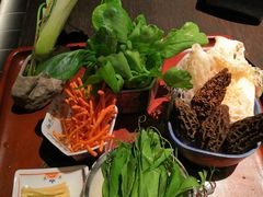 珍菌三色腐竹寿喜锅-敦煌神画 (三十三城店)