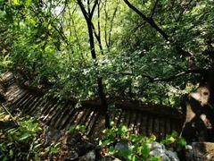 -北京上方山国家森林公园