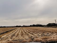 -嘉北郊野公园
