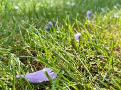 -重庆中央公园(渝北区)