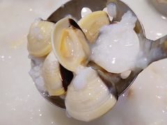 鲜甜白贝-顺德粥城·叹茶食粥(良化店)
