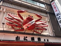 -蟹道乐(道顿堀本店)