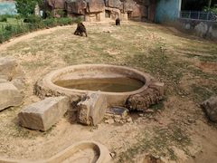 -无锡动物园·太湖欢乐园