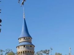 -奥兰多迪士尼动物王国乐园