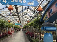 -南宫五洲植物乐园