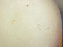 -隆美栗园(活力城店)