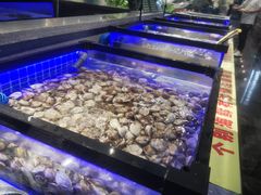 水产区-圣罗巴海鲜自助(黑金店)