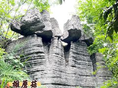 -恩施大峡谷