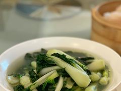 汤奶白菜苗-春满园·早茶·粤菜·宴会(前海店)
