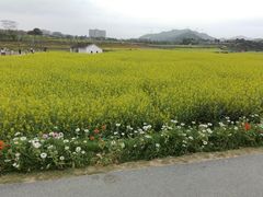 -光明小镇欢乐田园