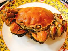 -呼吸森林·生态农庄农家乐私房菜