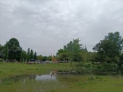 -两河城市森林公园