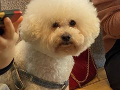 -蔻蔻椰·鲜萃椰子水(COCO Park店)